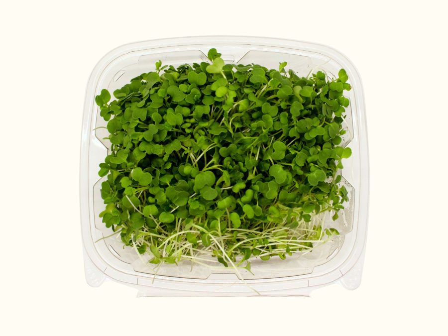 Wasabi Mustard Microgreens